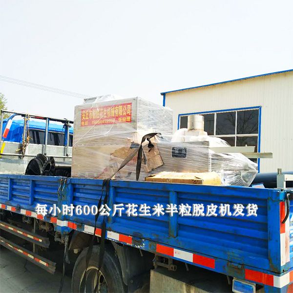 每小時600公斤花生米半粒脫皮機發(fā)貨